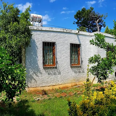 Orange Garden House In Beldibi 400 M From The Sea Case de vacanță